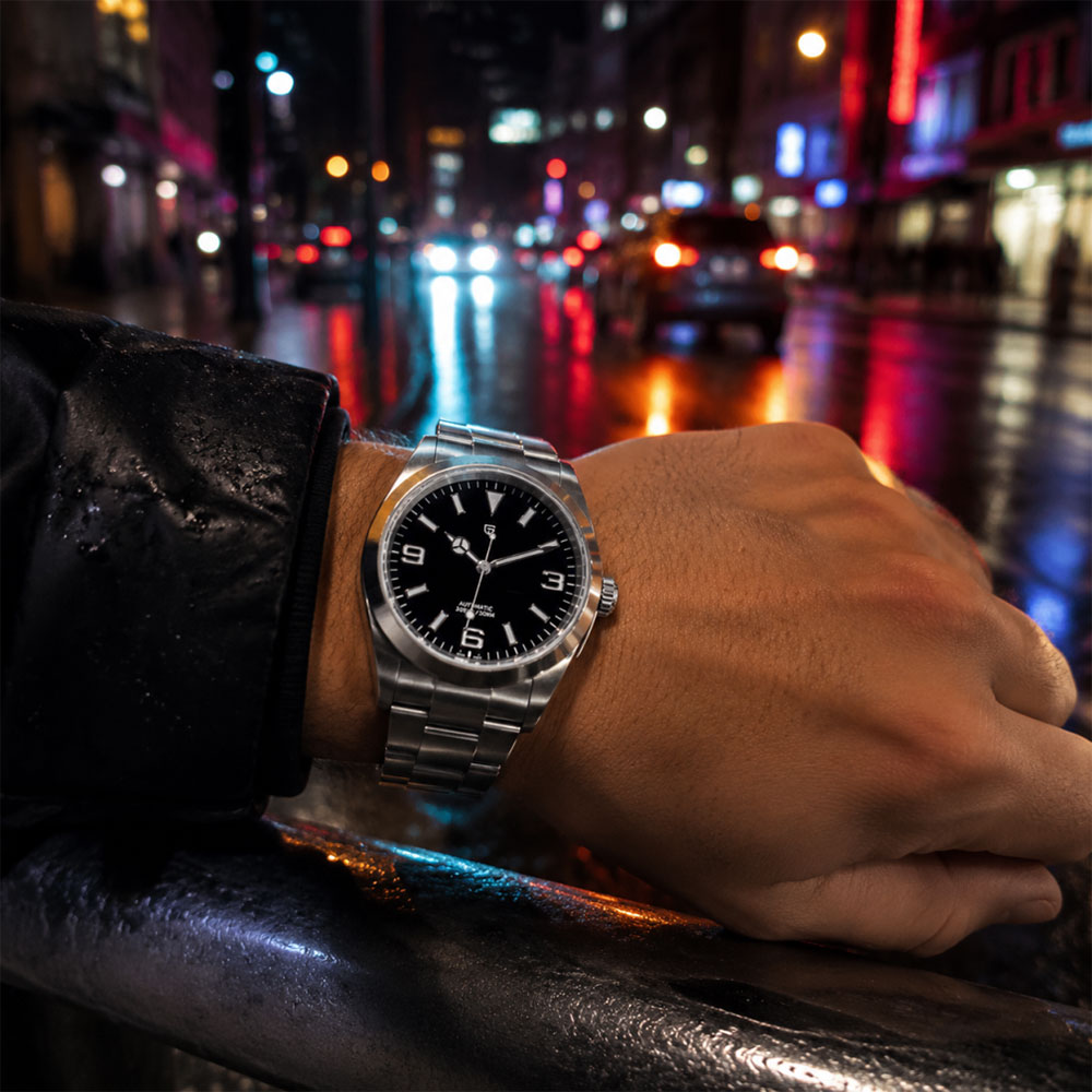 New PAGANI DESIGN Men Mechanic - Mens Mechanical Watch recension och pris