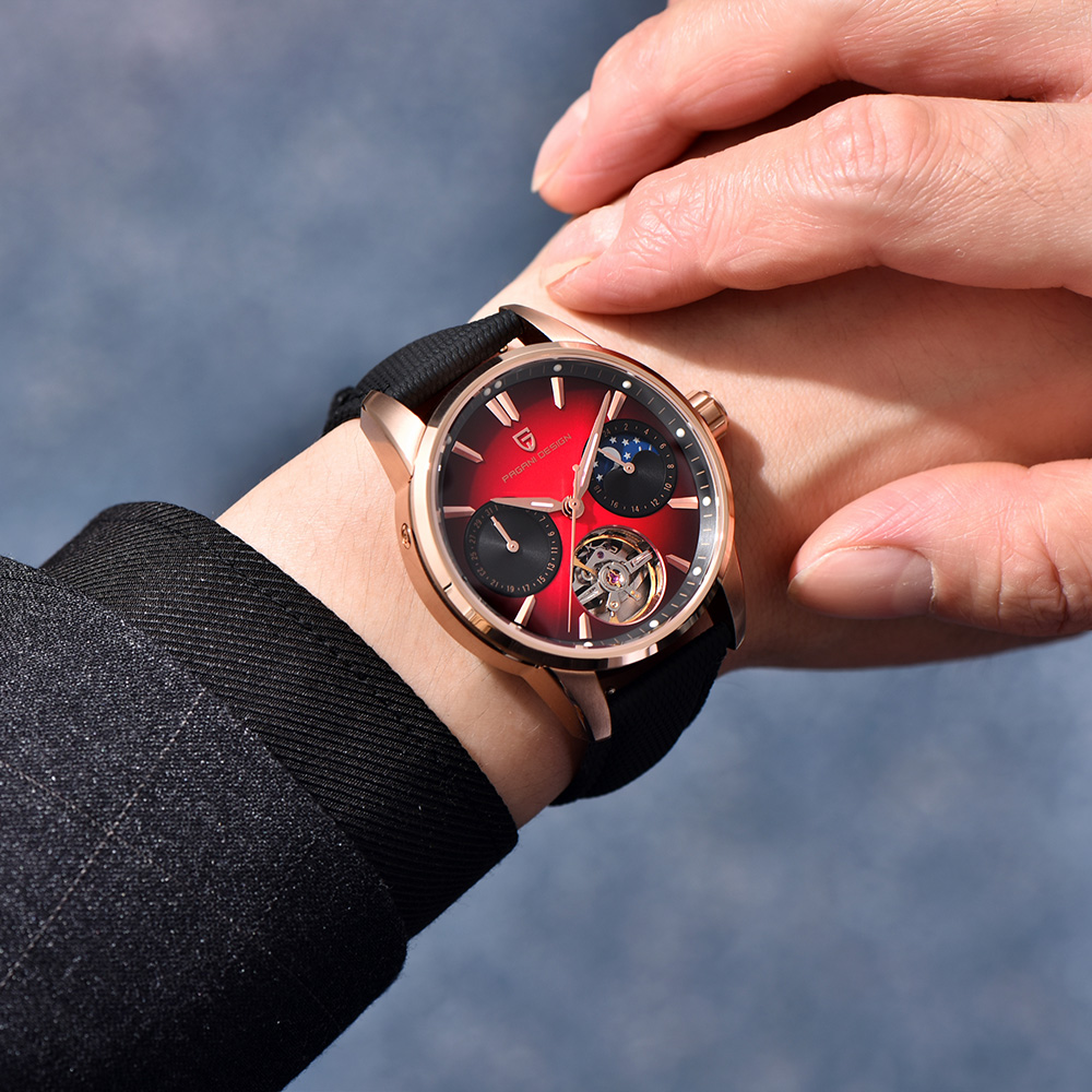 2025 New PAGANI DESIGN Watches - Mens Mechanical Watch recension och pris