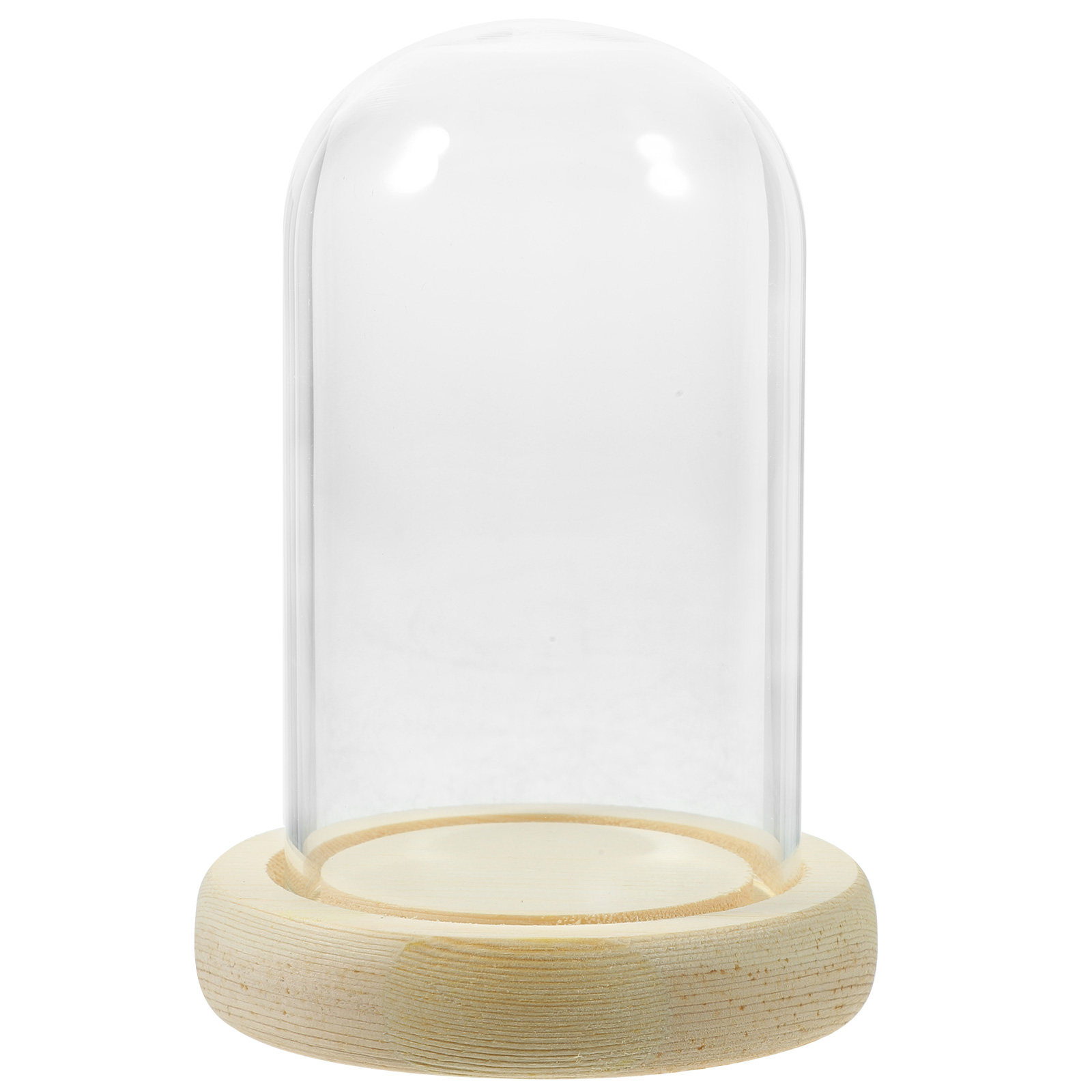 1Pcs Cake Glass Shade Dome Hig - High Jewelry Watches recension och pris